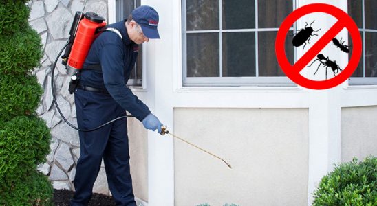 Senirkent Böcek İlaçlama böcek ilaçlama ve haşere kontrolü — ilaclama-tr.com